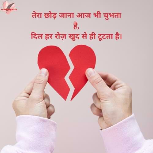 तेरा छोड़ जाना आज भी चुभता है,दिल हर रोज़ खुद से ही टूटता है।