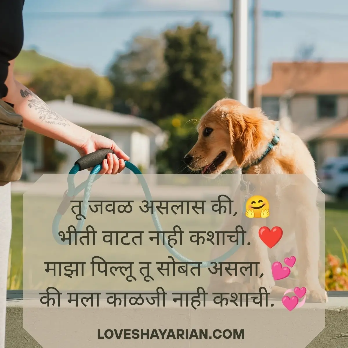 पिल्लू लव्ह शायरी 