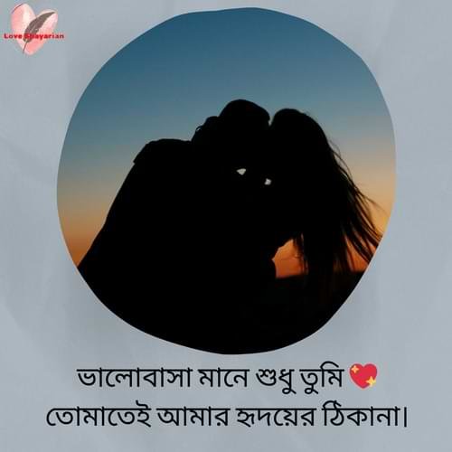ভালোবাসা মানে শুধু তুমি 💖 তোমাতেই আমার হৃদয়ের ঠিকানা।
