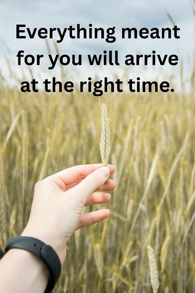 Everything meant for you will arrive at the right time.
