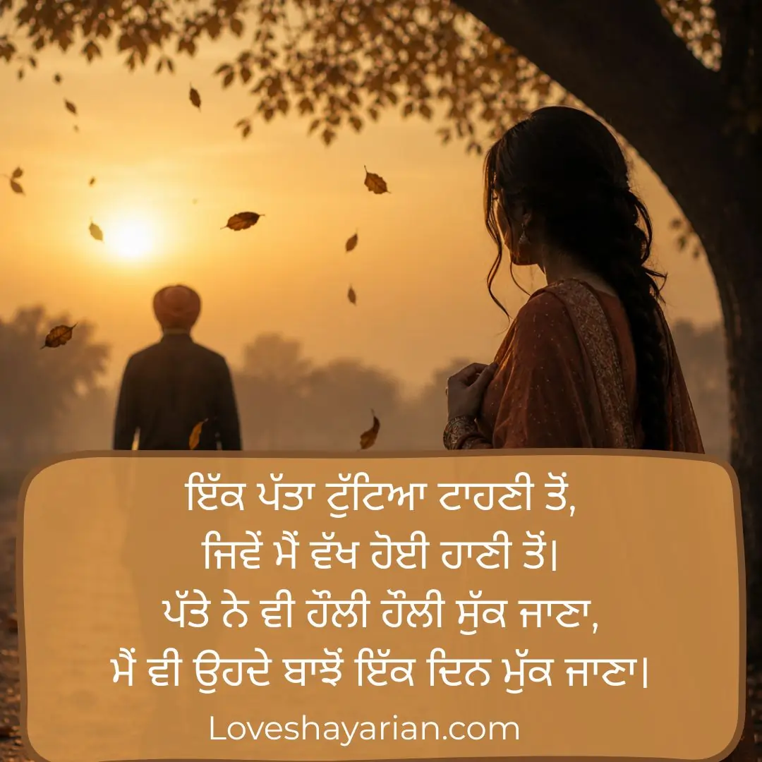 Punjabi Sad Love Shayari